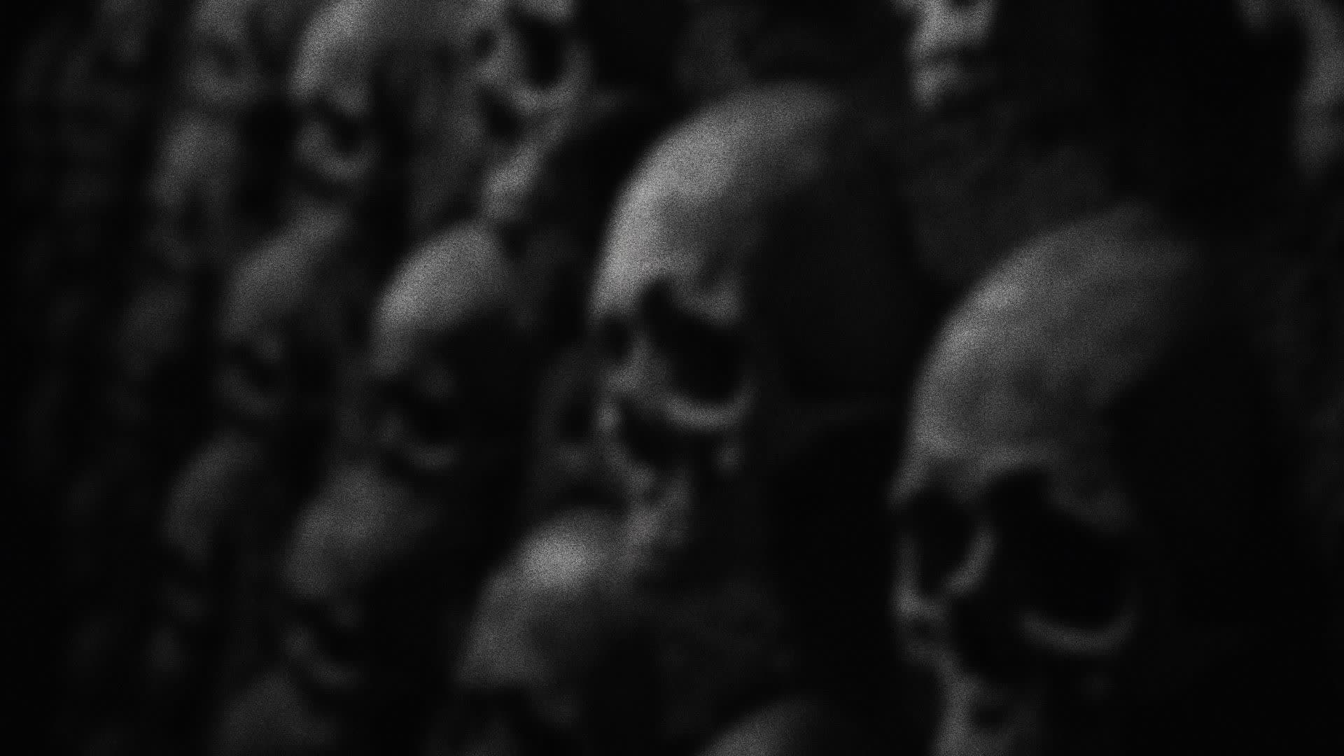 TMDB Top 10 Horror Movies